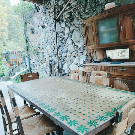 Gite Et Jardin En Bord De Riviere Saumane Экстерьер фото