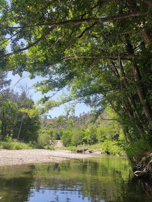 Gite Et Jardin En Bord De Riviere Saumane Экстерьер фото