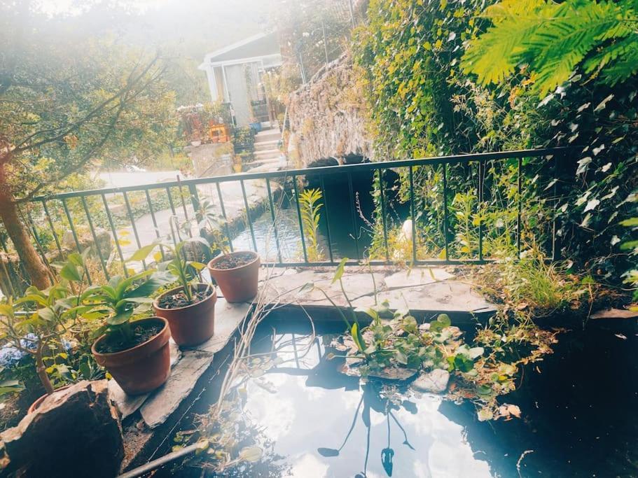 Gite Et Jardin En Bord De Riviere Saumane Экстерьер фото