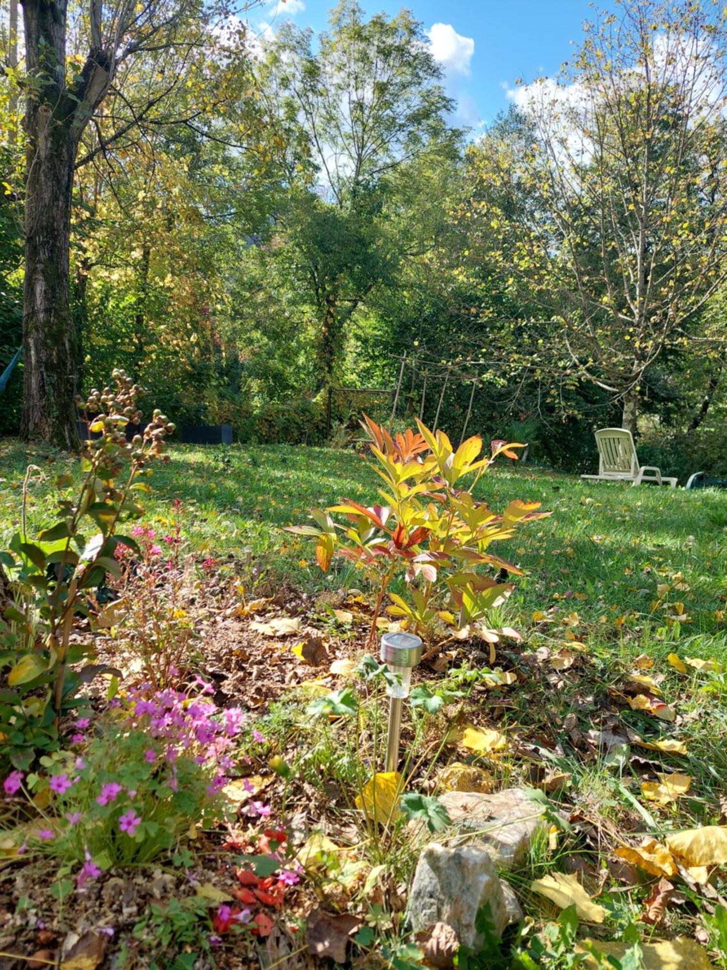 Gite Et Jardin En Bord De Riviere Saumane Экстерьер фото